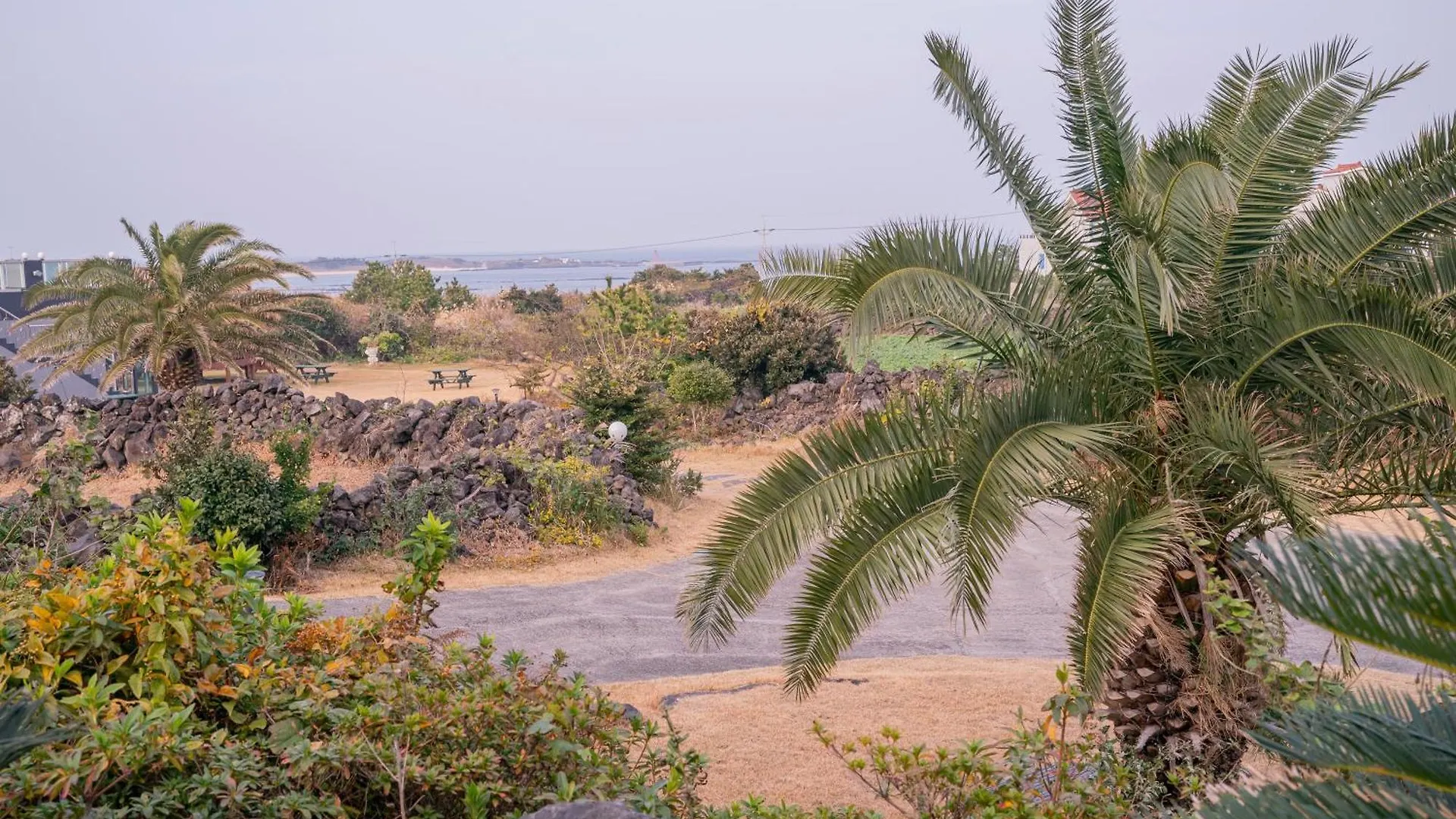 Jeju Amor House Oceanview Oreum 4*,